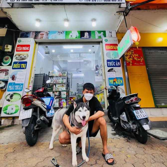 Địa chỉ thăm khám chó mèo uy tín tại Tân Bình