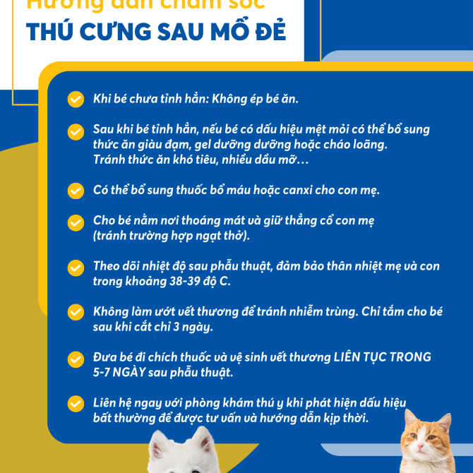 Chăm sóc cho chó mèo trước và sau khi mổ đẻ