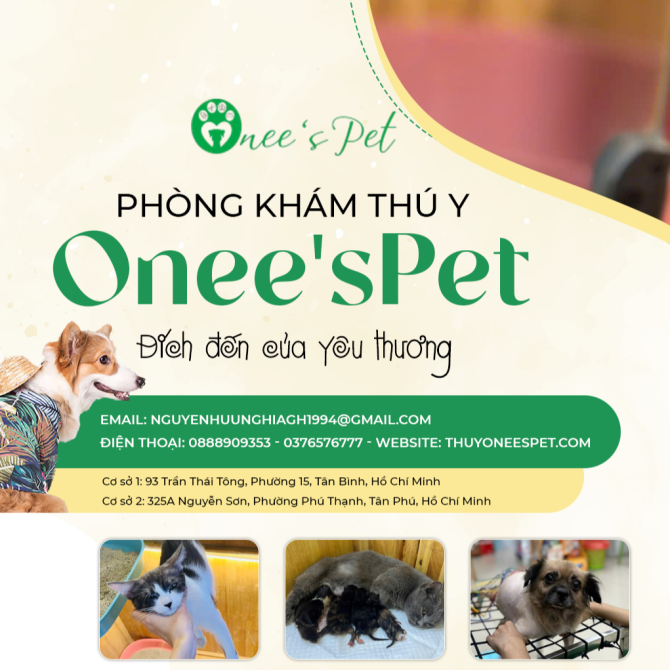 Bệnh viện thú y tại Tân Phú: Khám chữa bệnh uy tín, giá tốt