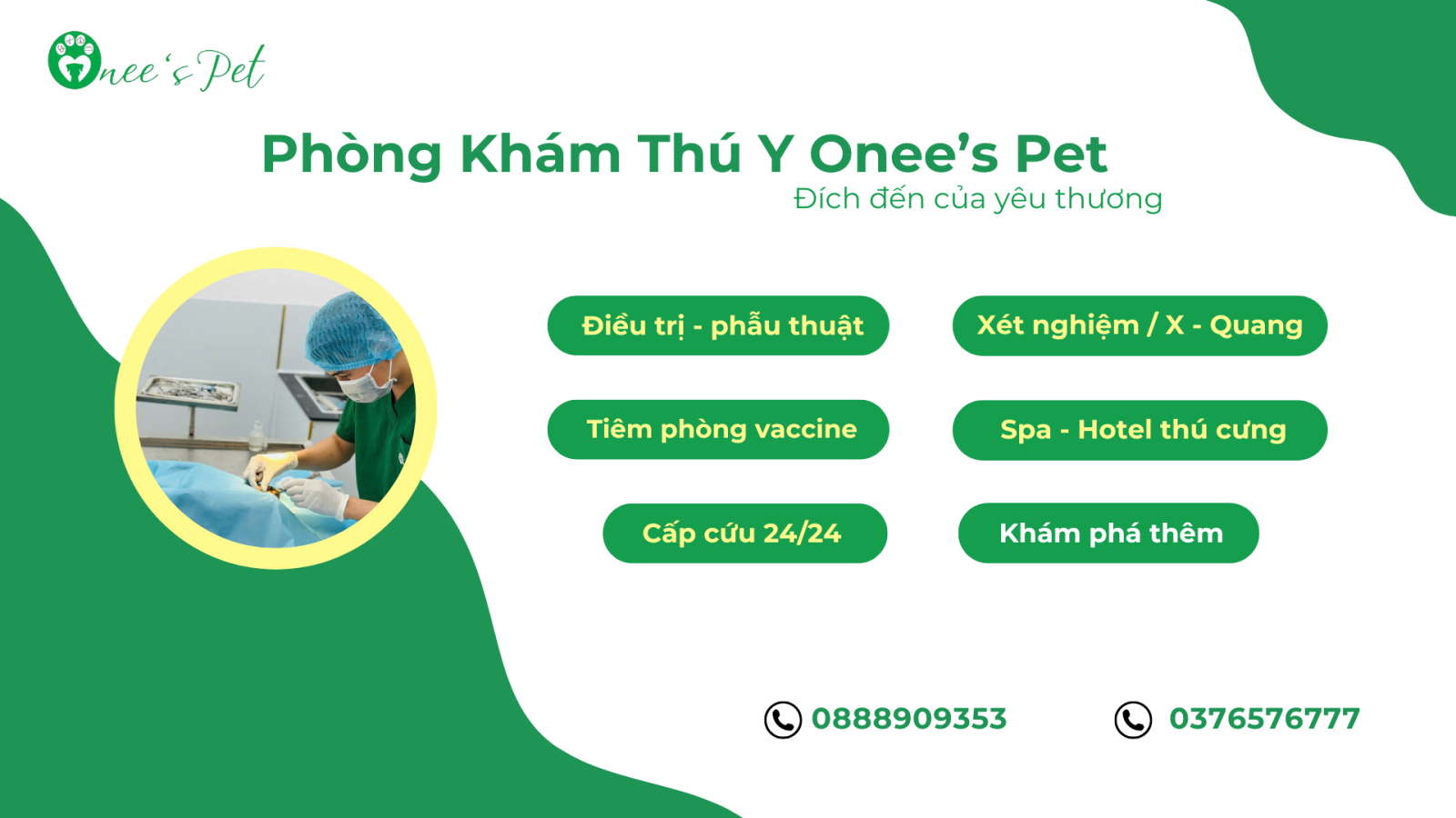 Bệnh viện thú y tại Tân Phú