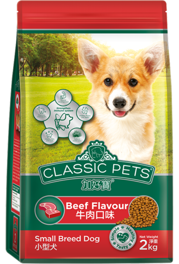 Classic pets chó trưởng thành giống nhỏ 