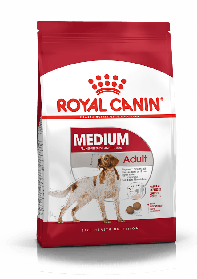 Medium Adult
