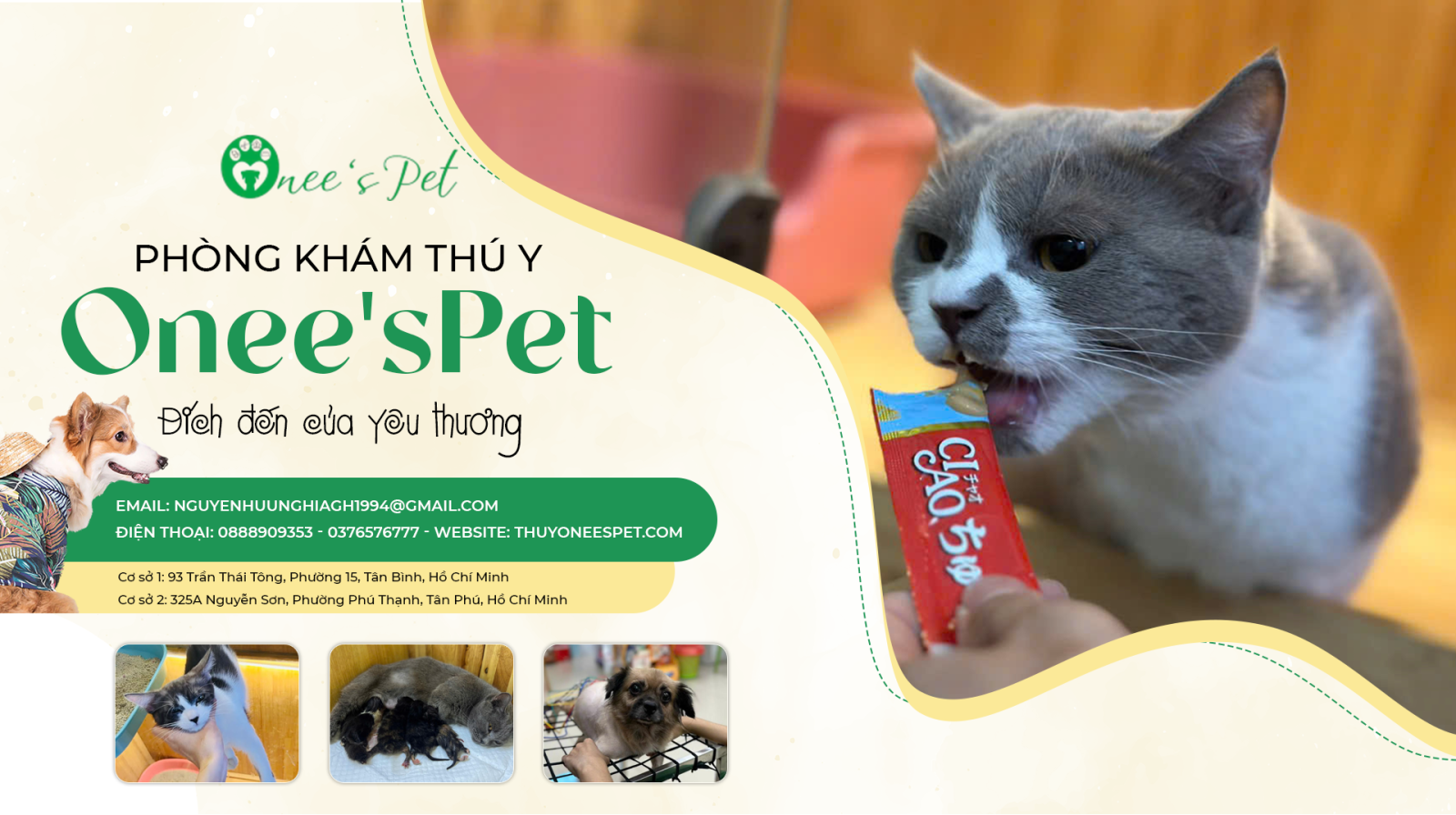 Phòng khám thú y tại Tân Bình