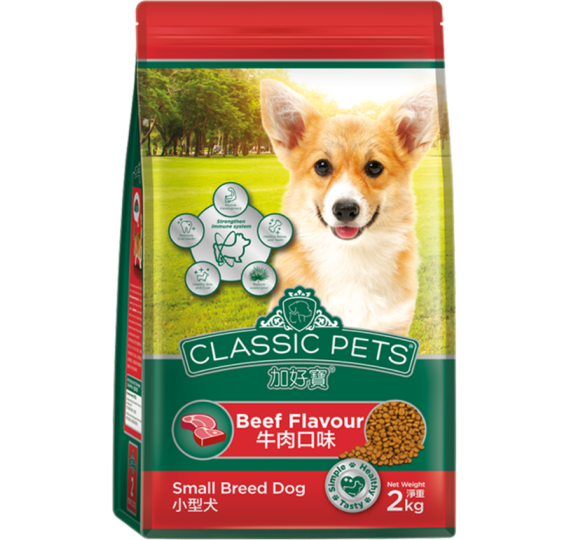 Classic pets chó trưởng thành giống nhỏ  
